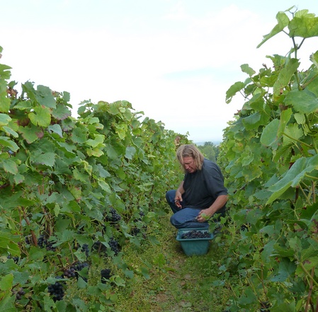 Vignoble Francis Boulard & Fille - Champagne Vendanges 2011